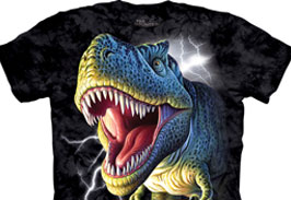 ANIMATION PRINTING